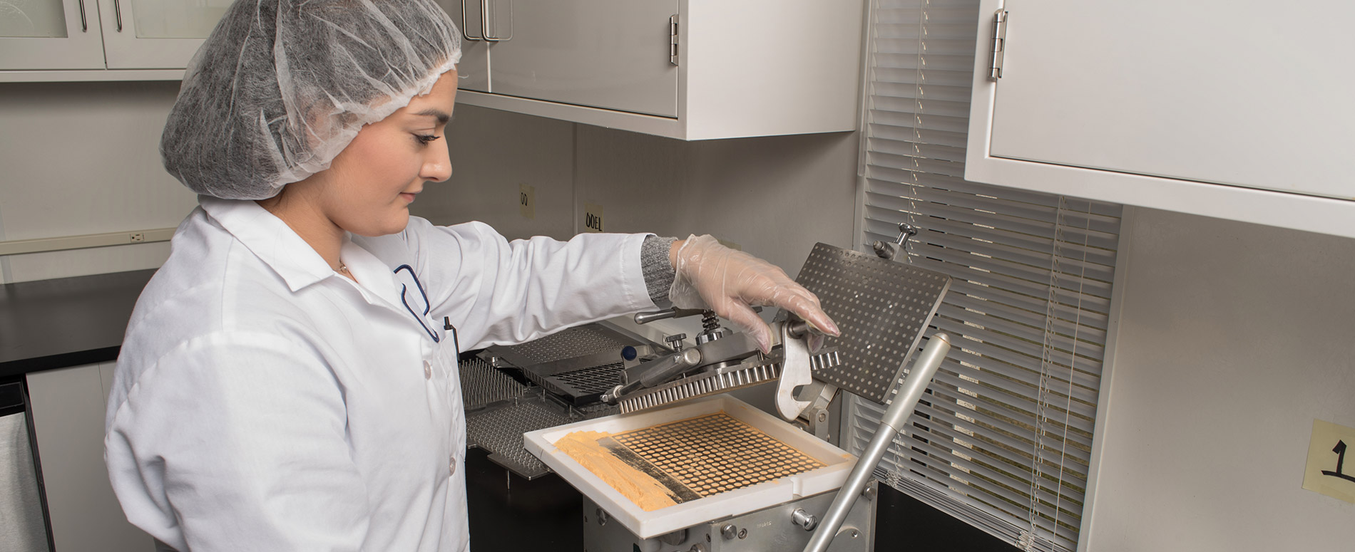 Capsule Filling Capsule Filling