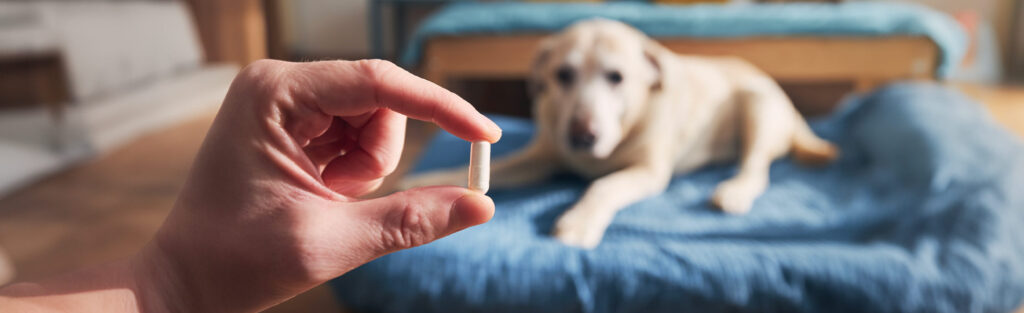 Pet Supplement Contract Manufacturing