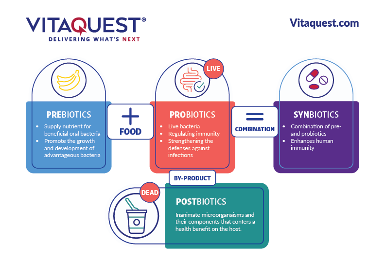 A graphic that explains the differences between prebiotics, probiotics, postbiotics and synbiotics.