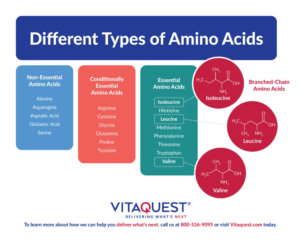 An infographic showing the different types of non-essential, conditionally-essential, and essential amino acids, including the chemical structures of isoleucine, leucine, and valine.