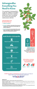 An infographic that offers a detailed overview of ashwagandha, covering its health benefits, different forms of delivery such as capsules, tablets and powders, and alternative names by which it is known.