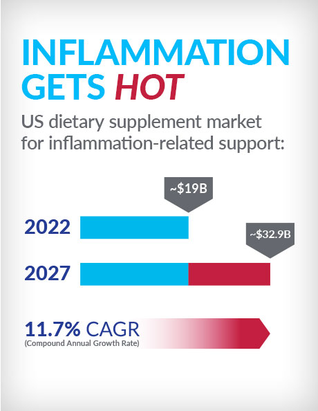 An infographic indicating the growth of the inflammation support supplements market. An infographic indicating the growth of the inflammation support supplements market.