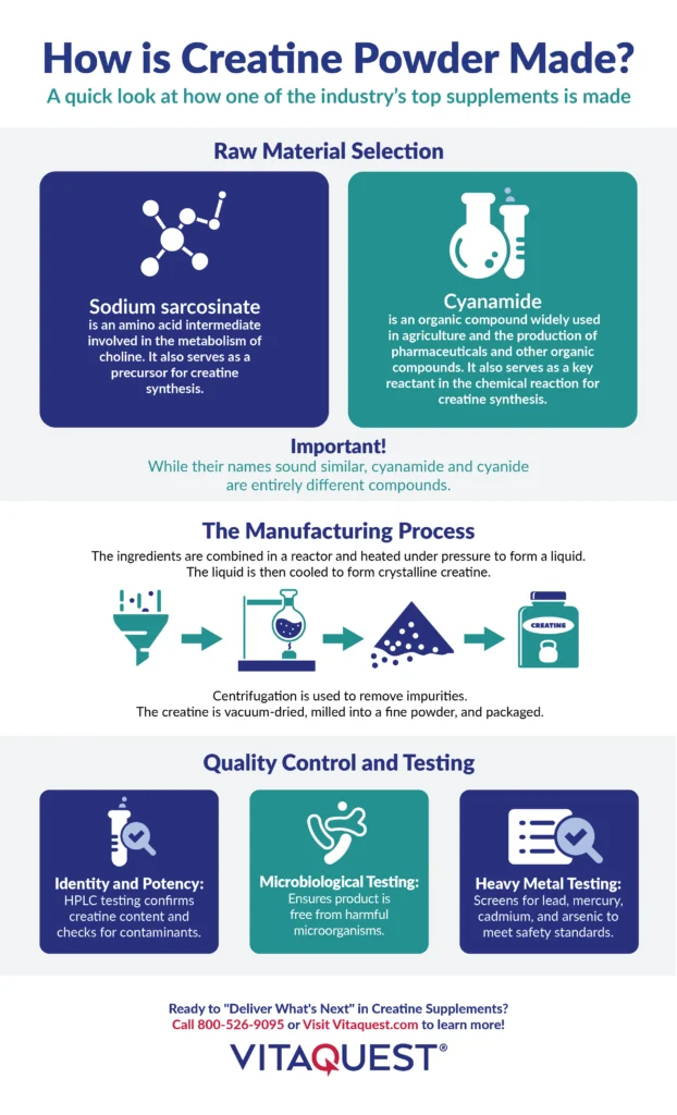 An infographic explaining how creatine powder is made, including raw material selection, the manufacturing process, and quality control and testing.
