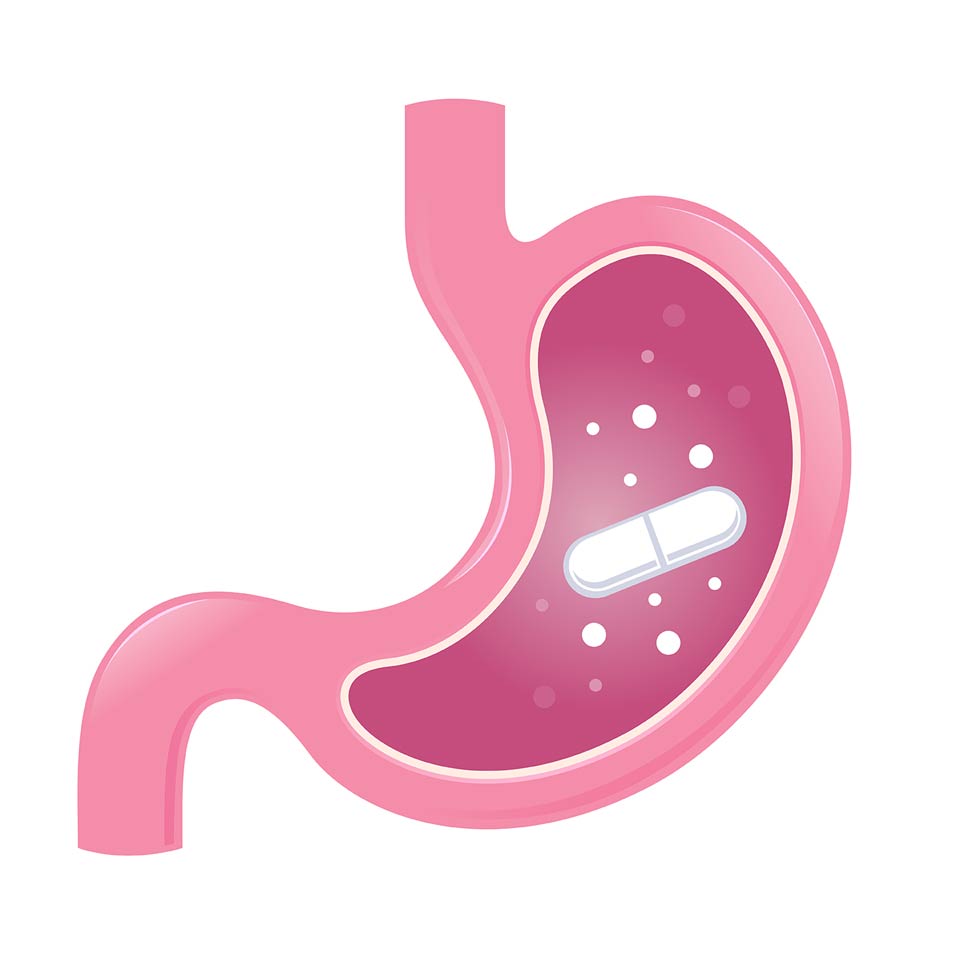 Vector stock of stomach icon being cured by medicine pill