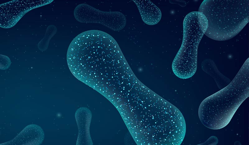 USA Probiotics Supplement Manufacturer