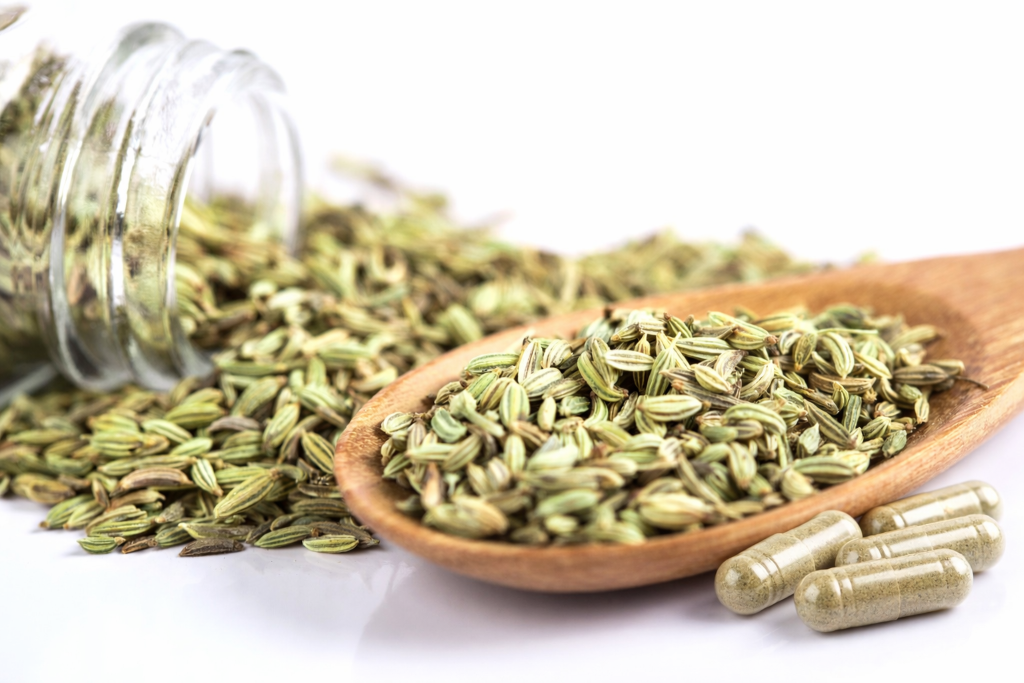 Fennel Supplement Benefits: Evidence-Based Uses and Manufacturing Considerations