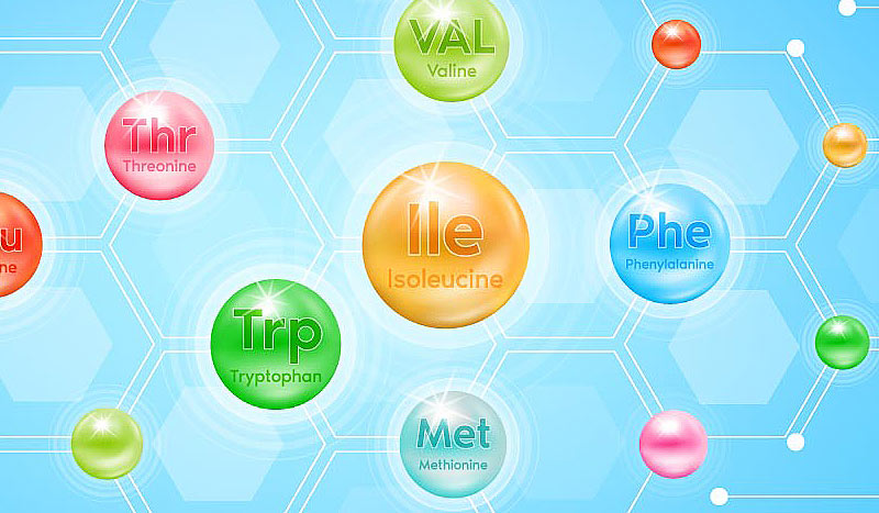 BCAA Supplement Contract Manufacturer BCAA Supplement Contract Manufacturer