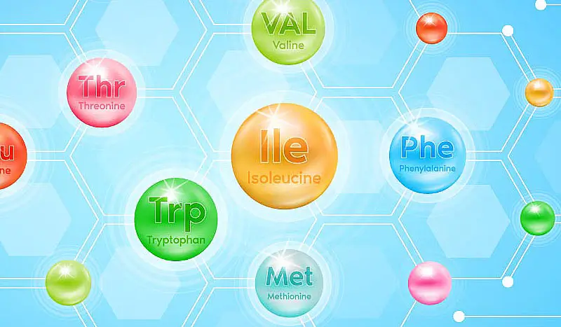BCAA Supplement Contract Manufacturer BCAA Supplement Contract Manufacturer
